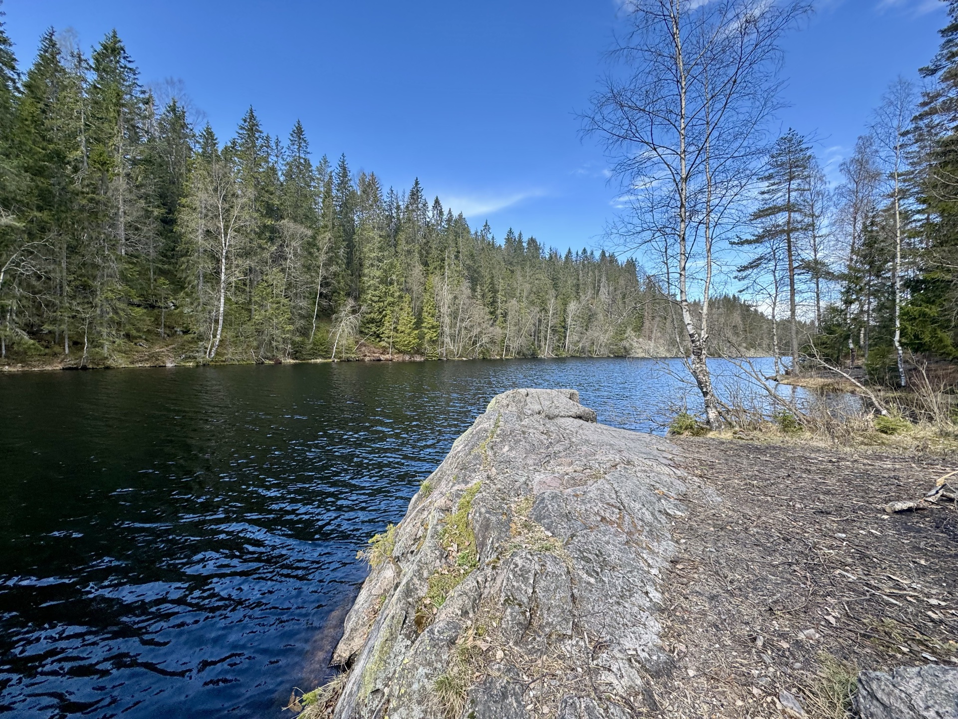 Forest lake with rocky shoreline in Oslo