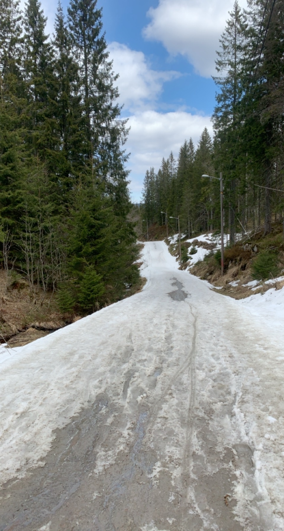 Deep in the Marka forest