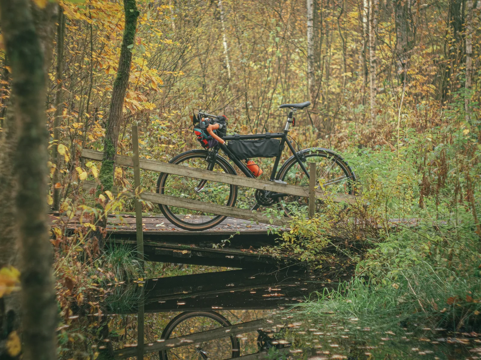 A touring bike with a frame bag on a wooden forest bridge in autumn
