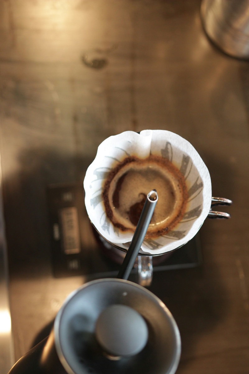 Overhead view of a specialty coffee bloom
