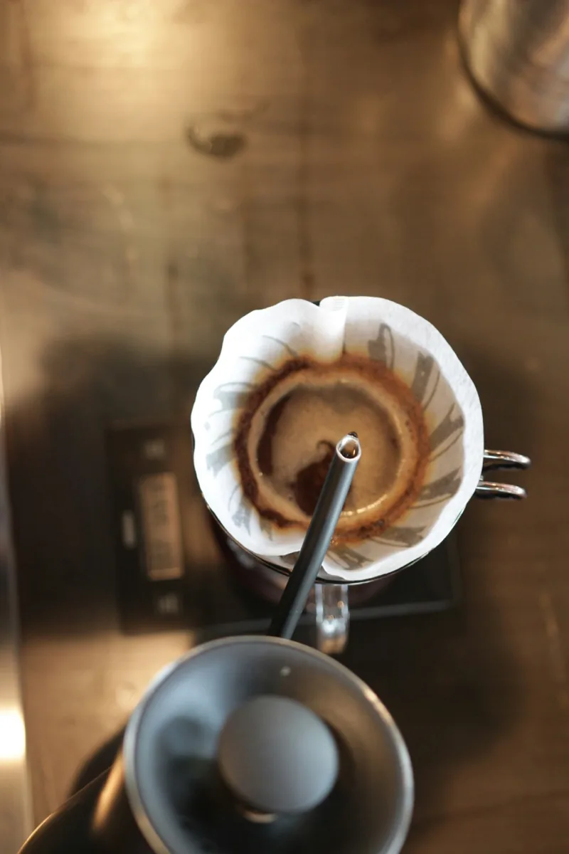 Overhead view of a specialty coffee bloom