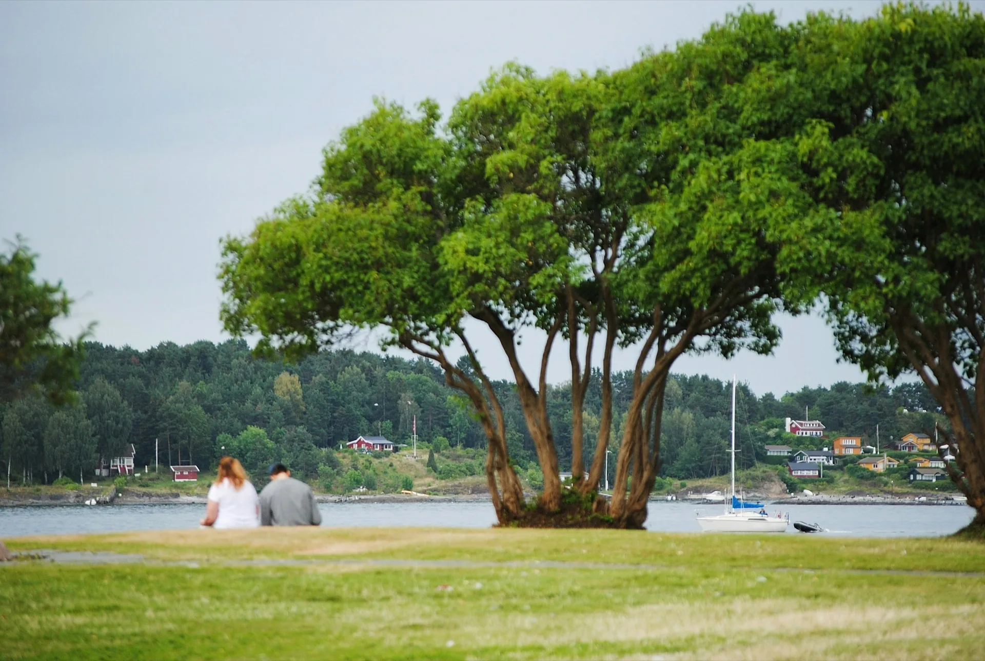 Couple by the Bygdøy fjord in summer