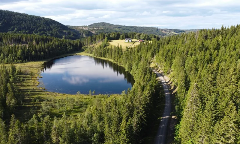 A gravel road winding through spruce forest past a lake, with farmland and forested hills beyond