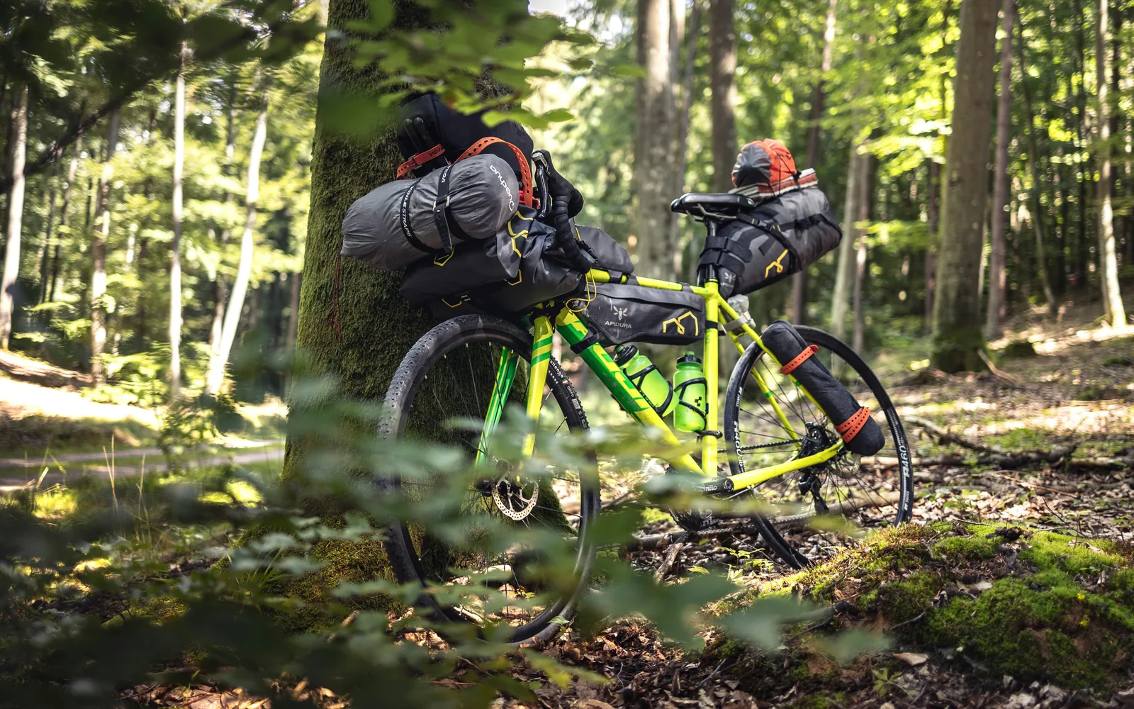 A gravel bike loaded with bikepacking bags and a sleeping bag, resting against a tree in the forest