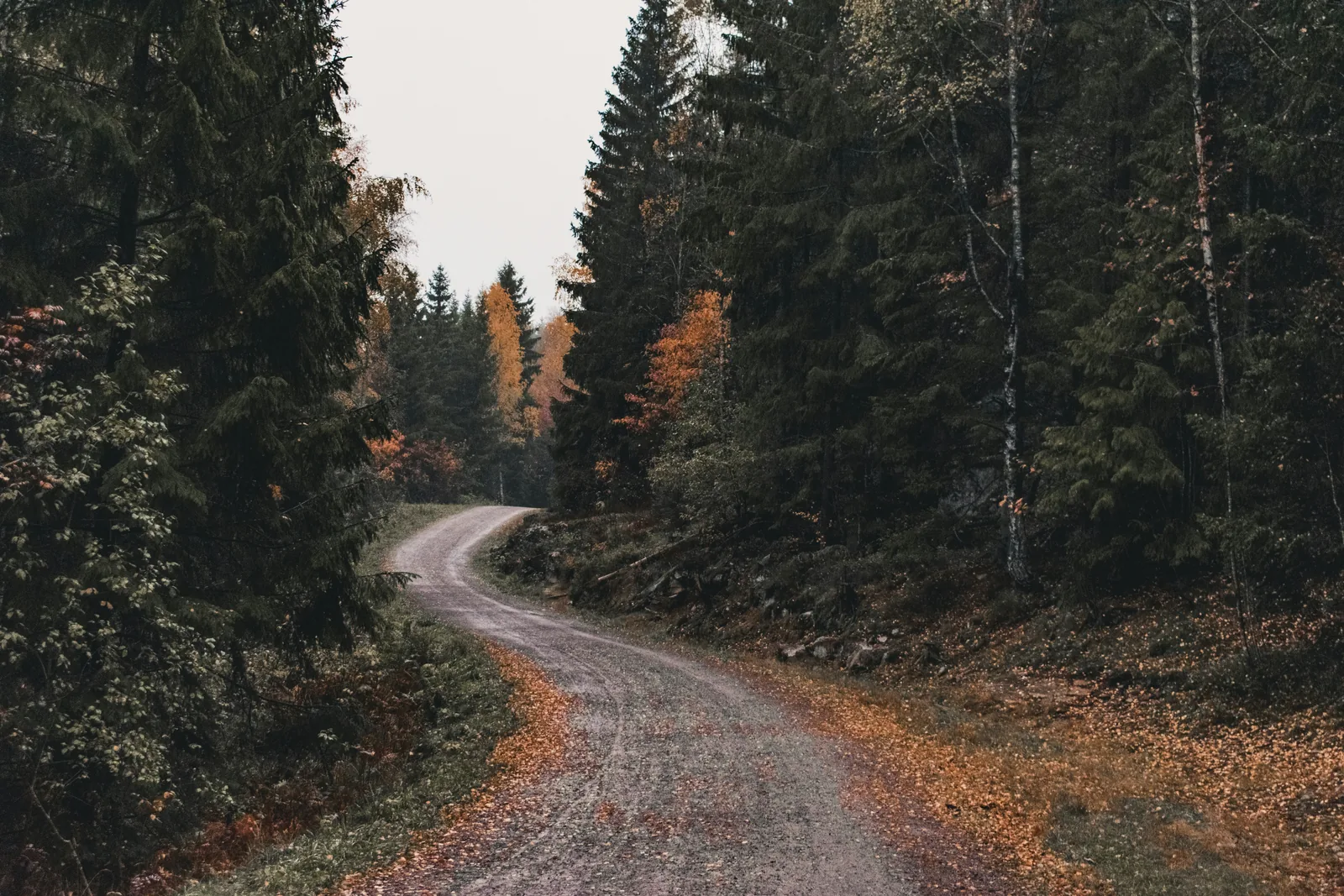 A winding gravel forest road through the Nordmarka near Maridalen in autumn