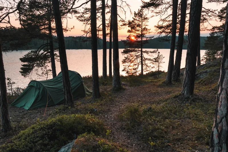 A green tent pitched among pine trees beside a lake at sunset