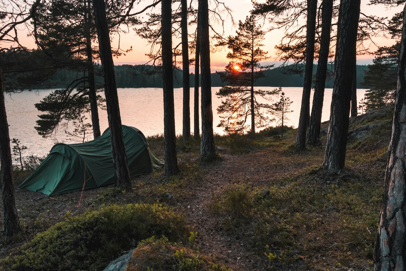 A green tent pitched among pine trees beside a lake at sunset