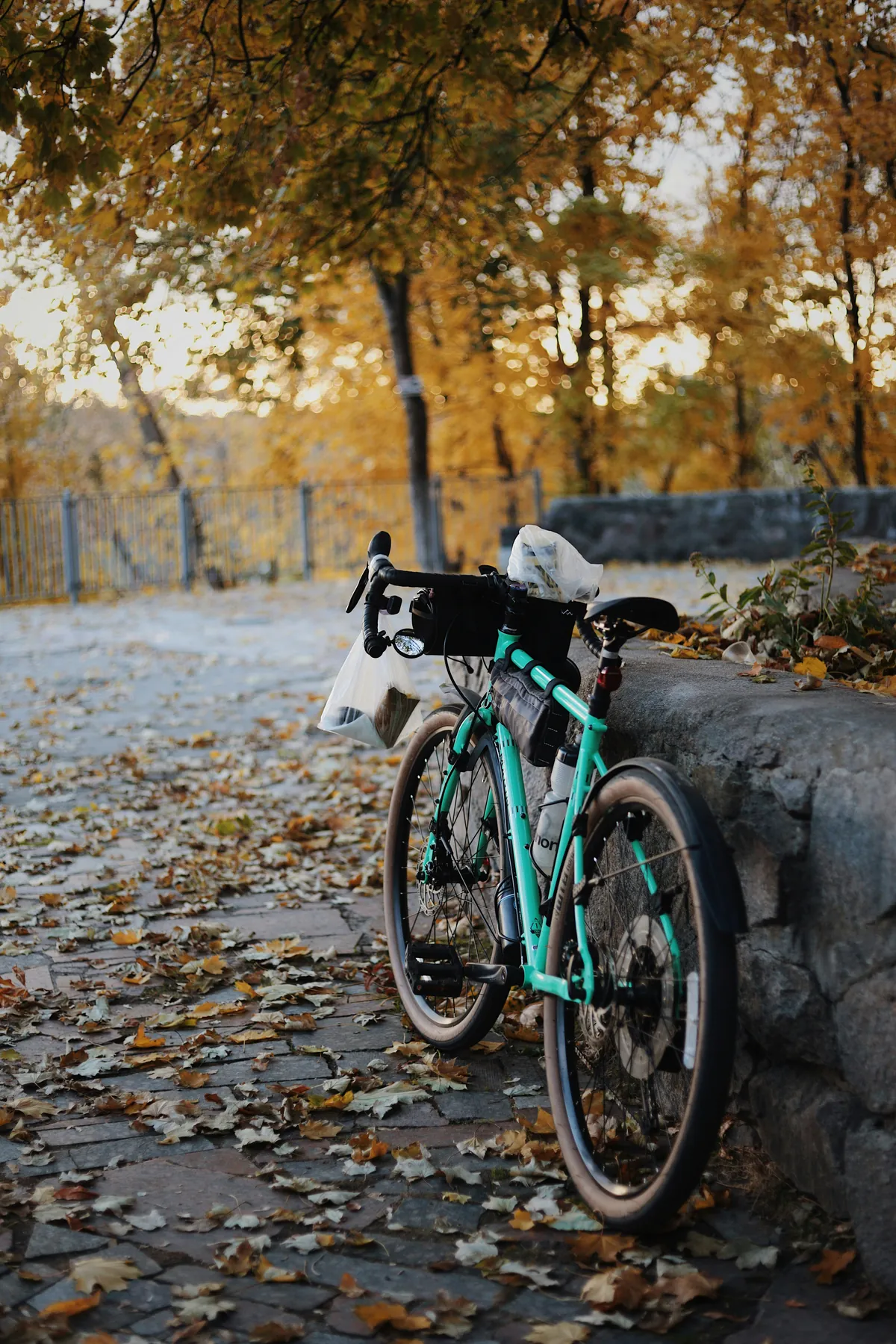A gravel bike with a bar bag and frame bag leaning against a stone wall, fallen yellow leaves covering the ground